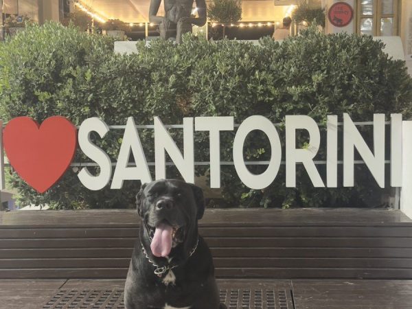 εικόνα_Viber_2025-04-29_09-50-21-495